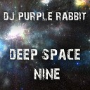 DJ Purple Rabbit feat Lee Wiley - Purple Haze