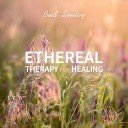 Bud Souley - Emotional Healing