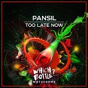 Pansil - Too Late Now Radio Edit