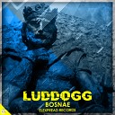 LudDogg - The Force Original Mix