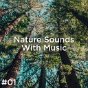 BodyHI Nature Sounds Nature Sounds Nature… - Deep In The Forest