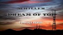 Schiller feat Heppner - Dream of You Tony Igy Remix