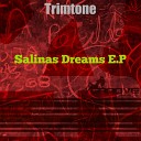 Trimtone - Salinas Dreams Original Mix