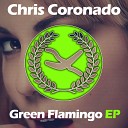Chris Coronado - Flamingo Original Mix