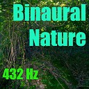 432 Hz - Binaural Nature
