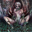 Cannibal Corpse - Demon s Night