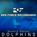 Seventh Heaven - Dolphins Stoneface Terminal Remix