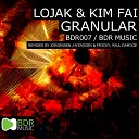Lojak, Kim Fai - Granular (Paul Damixie Remix)