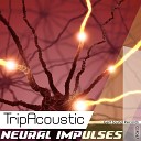 TripAcoustic - Spectral Mantra Original Mix