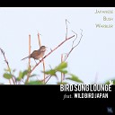 Bird Song Lounge feat Wild Bird Japan - Japanese Bush Warbler Original Mix