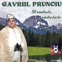 Gavriil Prunoiu - Taie i Ionele P rul