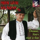 Mihai Liviu S l gean - Omule Dac Ai Tr i