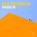 Vakabular - What You Gonna Do Original Mix