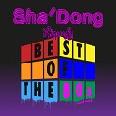 Sha Dong - The Wild Boys