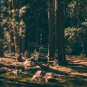 Audio Industrie - Forest Original Mix