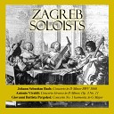 Zagreb Soloists - Concerto in D Minor BWV 1060 II Adagio