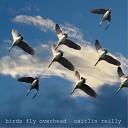 Caitlin Reilly - Birds Fly Overhead