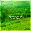 Black Sound - Spring Groove Original Mix