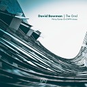 David Bowman - The Grid Original Mix
