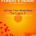 Dj Funky T feat Wanda Baloyi - Can t Deny It Instrumental Mix