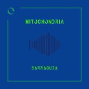 Mitochondria - Barracuda