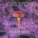 Joss Stone - The Answer Lephin Remix