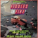 The Jimmy Sturr Band - Fiddle Diddle