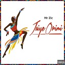 Mr Zic - Jaiye Orimi