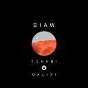 Tchami - SIAW Galixi Remix