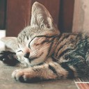 Deep Sleep The Sleep Helpers Relaxing Spa… - Harmony Heard