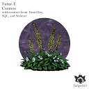 Futur E - Argon Original Mix
