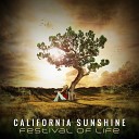 California Sunshine - Waterfall Original Mix