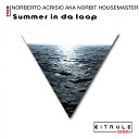 Norberto Acrisio aka Norbit Housemaster - Summer In Da Loop Original Mix