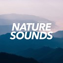 Sounds Of Nature - Rain Thunder Original Mix