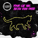 Lymington Rot Club - Your Cat Has Been Run Over Original Mix