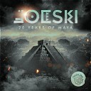 Joeski - Into The Future Radio Edit