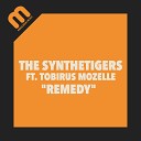 The SyntheTigers feat Tobirus Mozelle - Remedy Vocal Mix