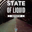 State of Liquid - Jump Original Mix