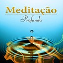 Medita o M sica Ambiente - Serenidade e Sonhos L cidos