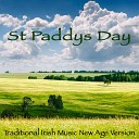 Irish Music Duet - Believe Me If All Those Endearing Young Charms Sleep Baby…