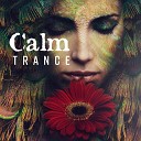 Calm Stress Oasis Relief - For the Soul