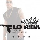 Flo Rida feat Sage The Gemini LS - GDFR DJ Noiz Extended Remix