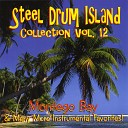 Steel Drum Island - The Tide Is High
