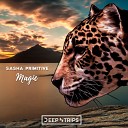 Sasha Primitive - Magic Original Mix