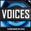 Ck Pellegrini - Voices Tools