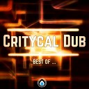 Critycal Dub - The Light Original Mix