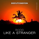 Rodg - Like A Stranger Original Mix