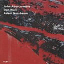 John Abercrombie Dan Wall Adam Nussbaum - Rain Forest