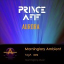 Prince AfIf - Aurora Original Mix