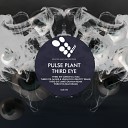 Pulse Plant - Third Eye Mike Graham Remix